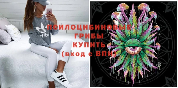 бошки Зеленодольск