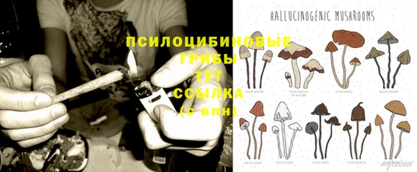 бошки Зеленодольск